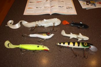 Click to expand / contract the width of this image