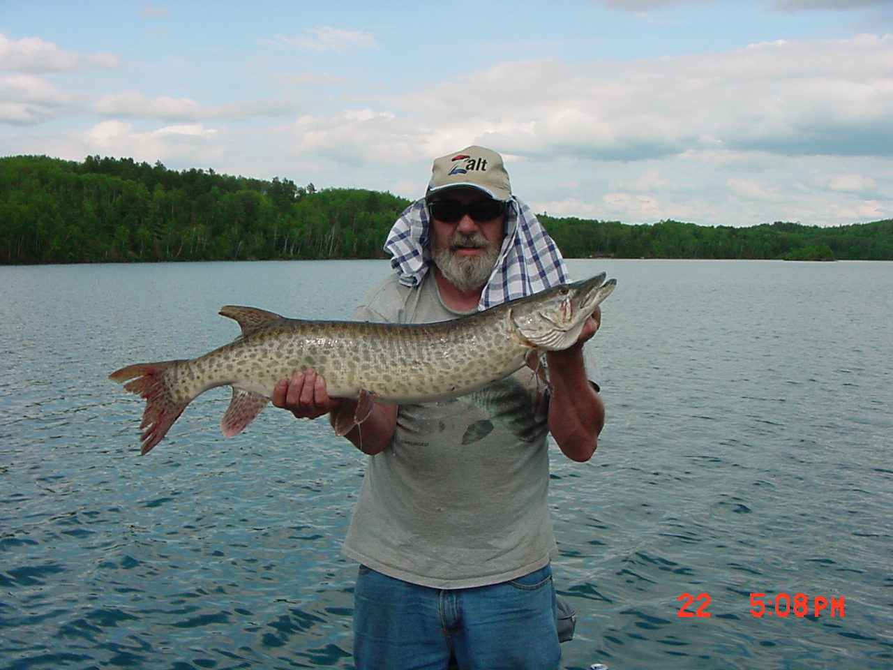 Click to expand / contract the width of this image