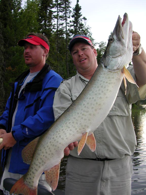 Click to expand / contract the width of this image