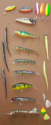 Click to expand / contract the width of this image