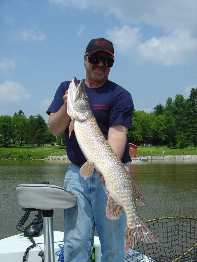 Click to expand / contract the width of this image