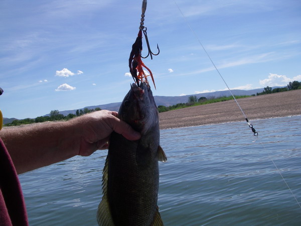 Click to expand / contract the width of this image