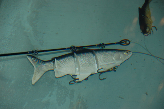 Click to expand / contract the width of this image