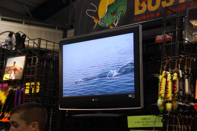 Click to expand / contract the width of this image