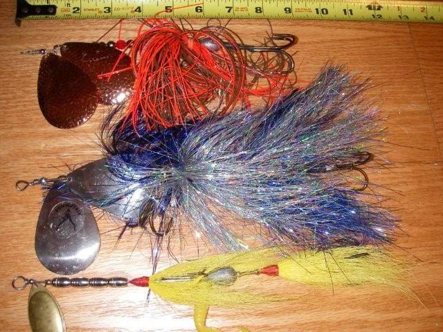 Click to expand / contract the width of this image