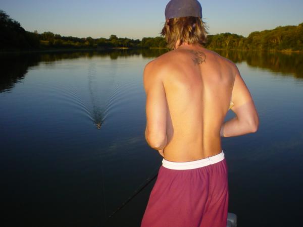 Click to expand / contract the width of this image