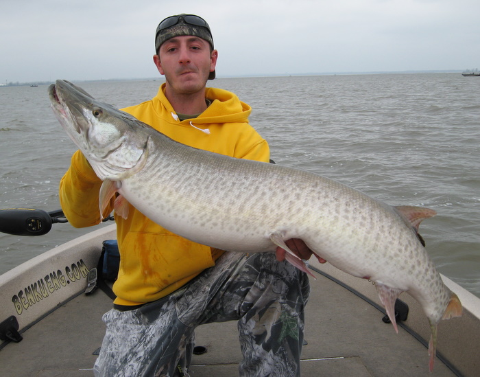 Click to expand / contract the width of this image