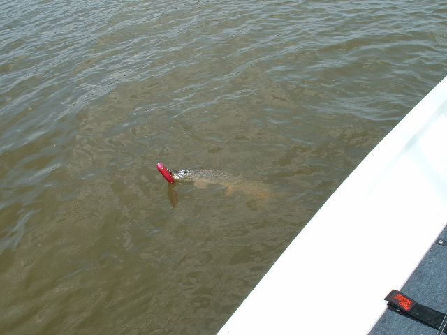 Click to expand / contract the width of this image