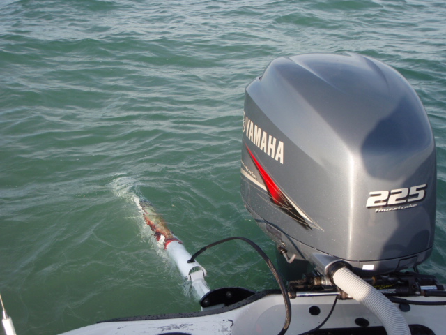 Click to expand / contract the width of this image