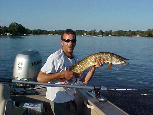 Click to expand / contract the width of this image