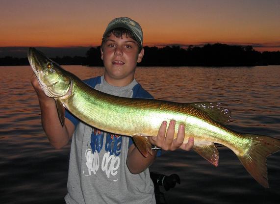 Click to expand / contract the width of this image