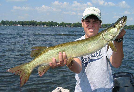 Click to expand / contract the width of this image