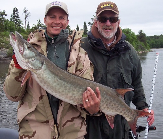 Click to expand / contract the width of this image