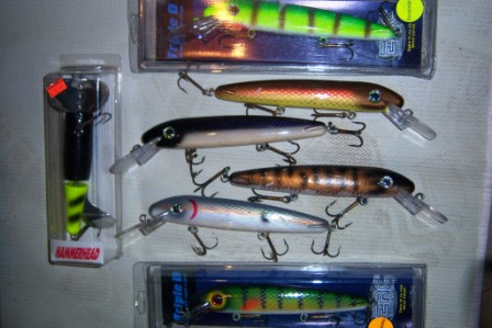 Click to expand / contract the width of this image