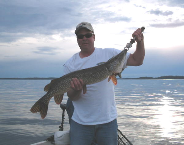 Click to expand / contract the width of this image