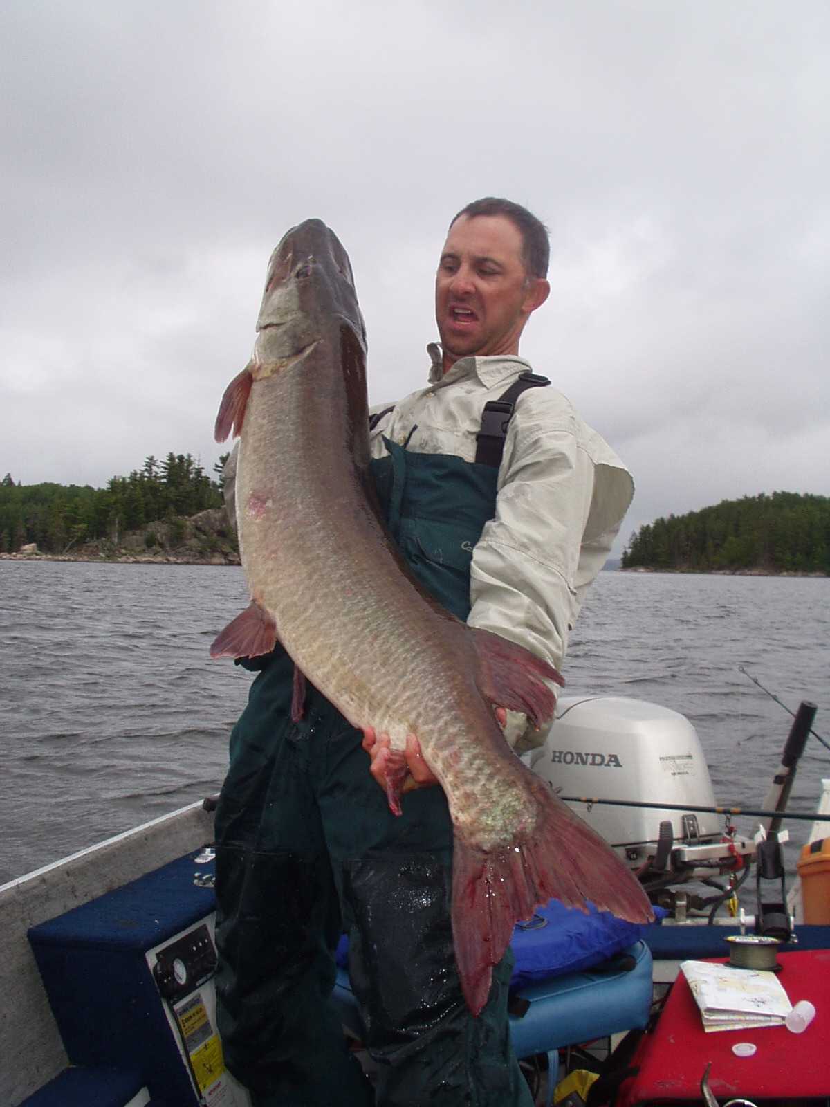 Click to expand / contract the width of this image