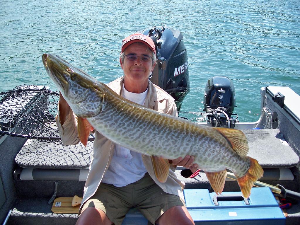 tiger muskie pineview