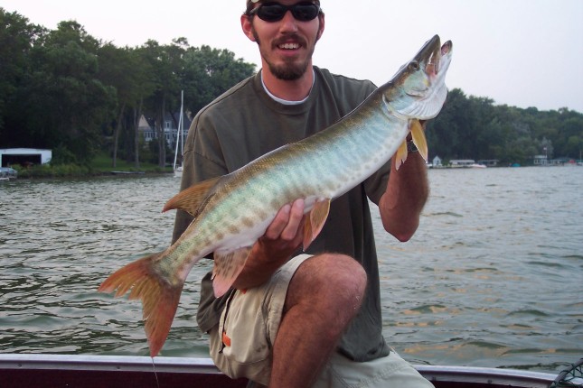 Click to expand / contract the width of this image