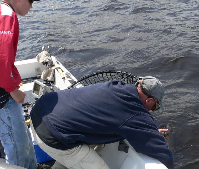 Click to expand / contract the width of this image