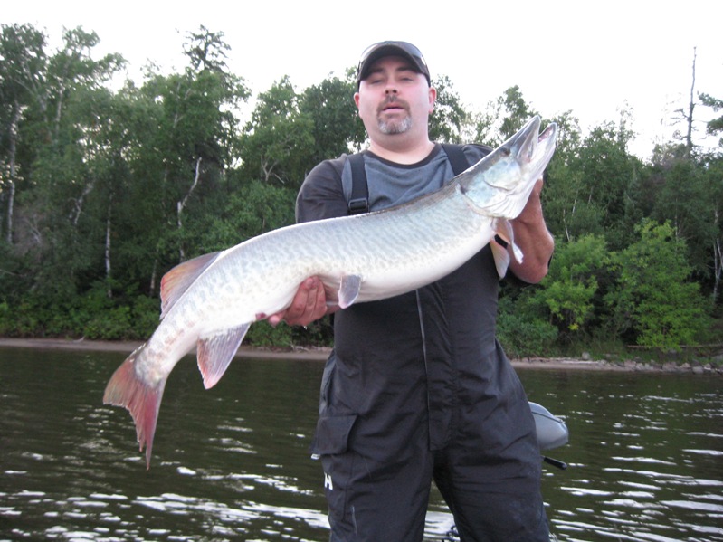 Click to expand / contract the width of this image