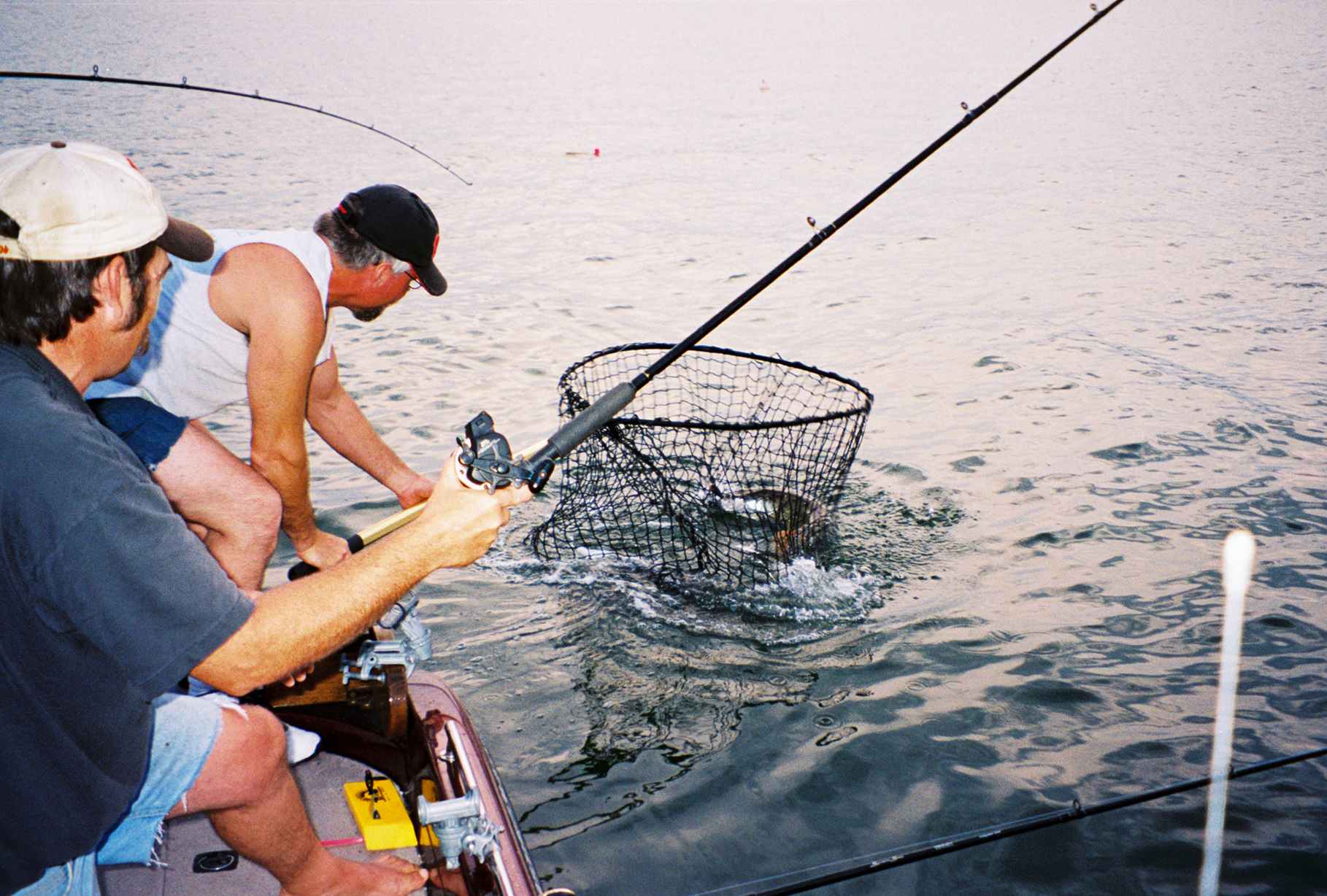 Click to expand / contract the width of this image