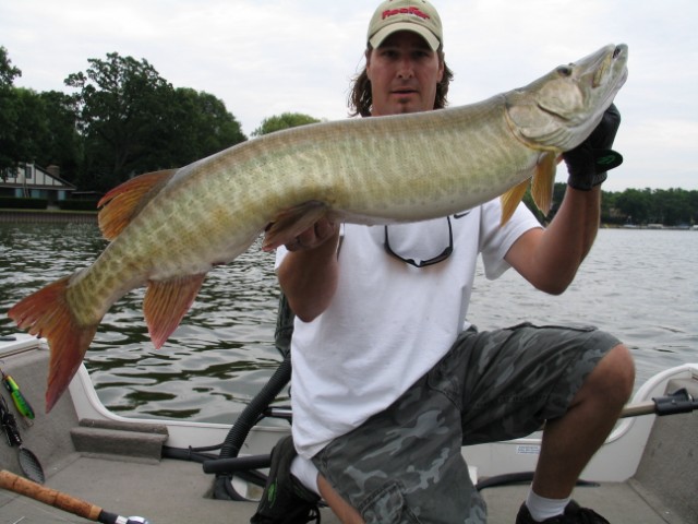 Click to expand / contract the width of this image