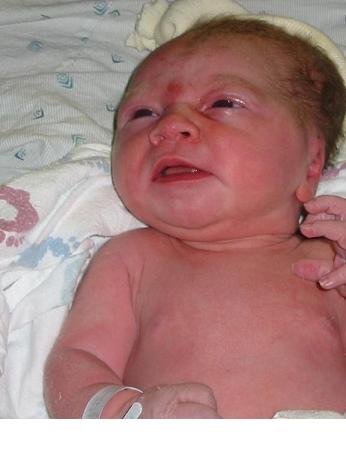 Click to expand / contract the width of this image