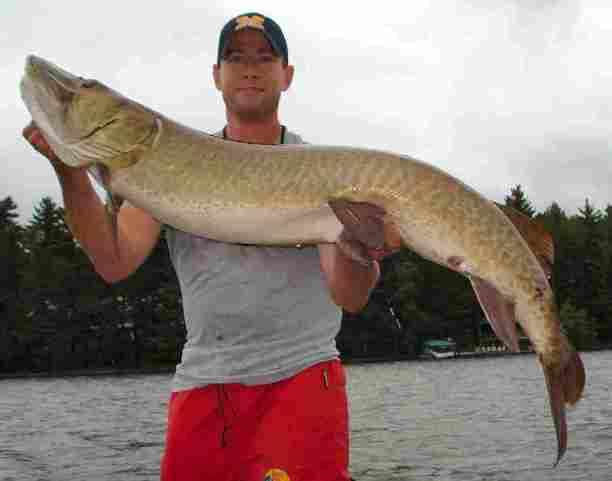 Click to expand / contract the width of this image