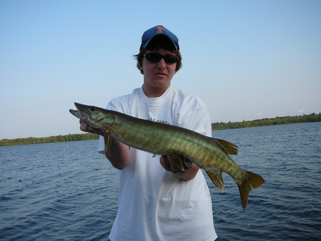 Click to expand / contract the width of this image