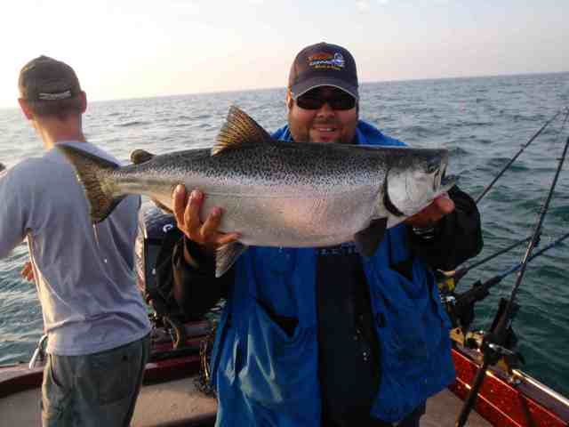 Click to expand / contract the width of this image