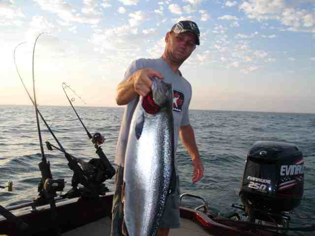 Click to expand / contract the width of this image