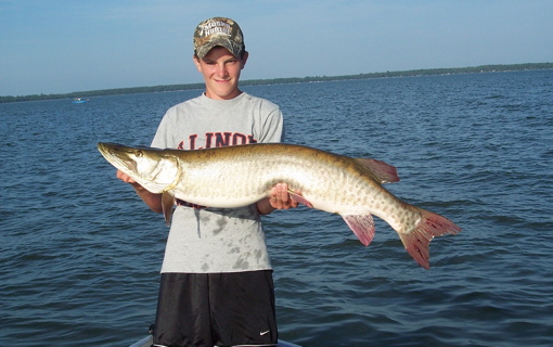 Click to expand / contract the width of this image