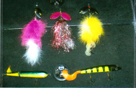 Click to expand / contract the width of this image