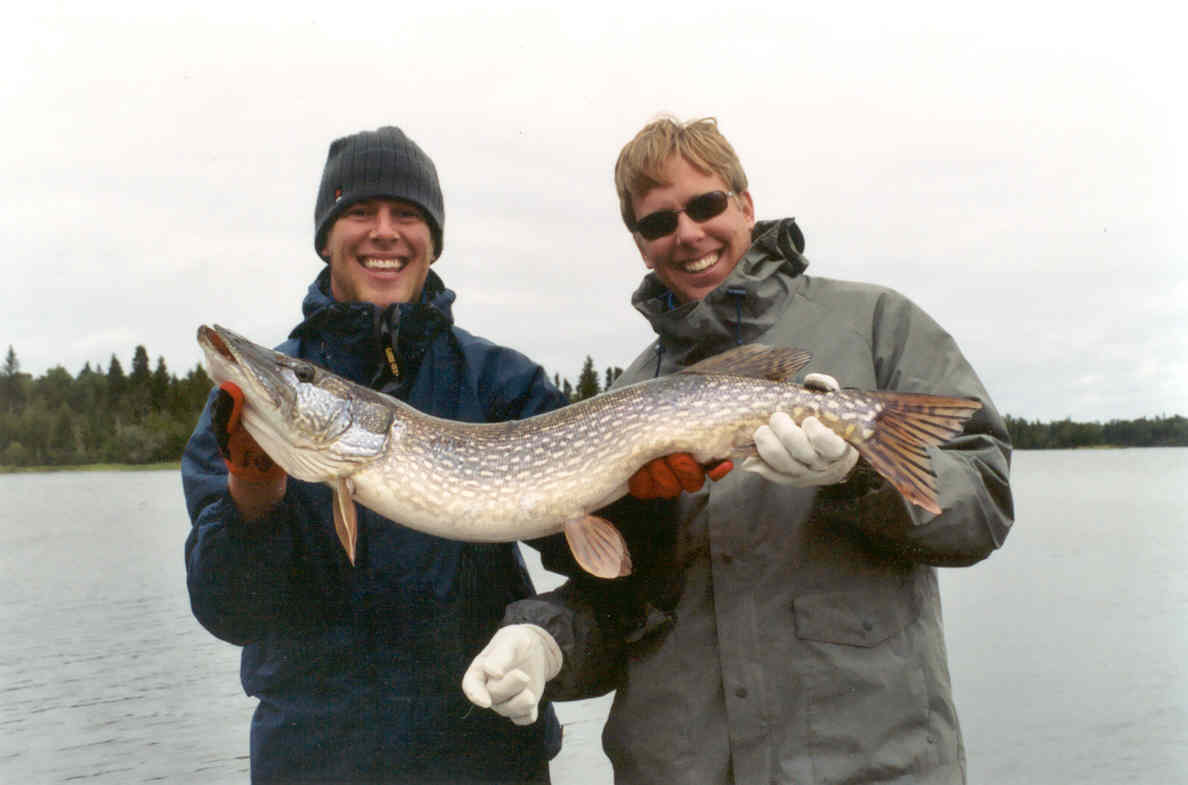 Click to expand / contract the width of this image