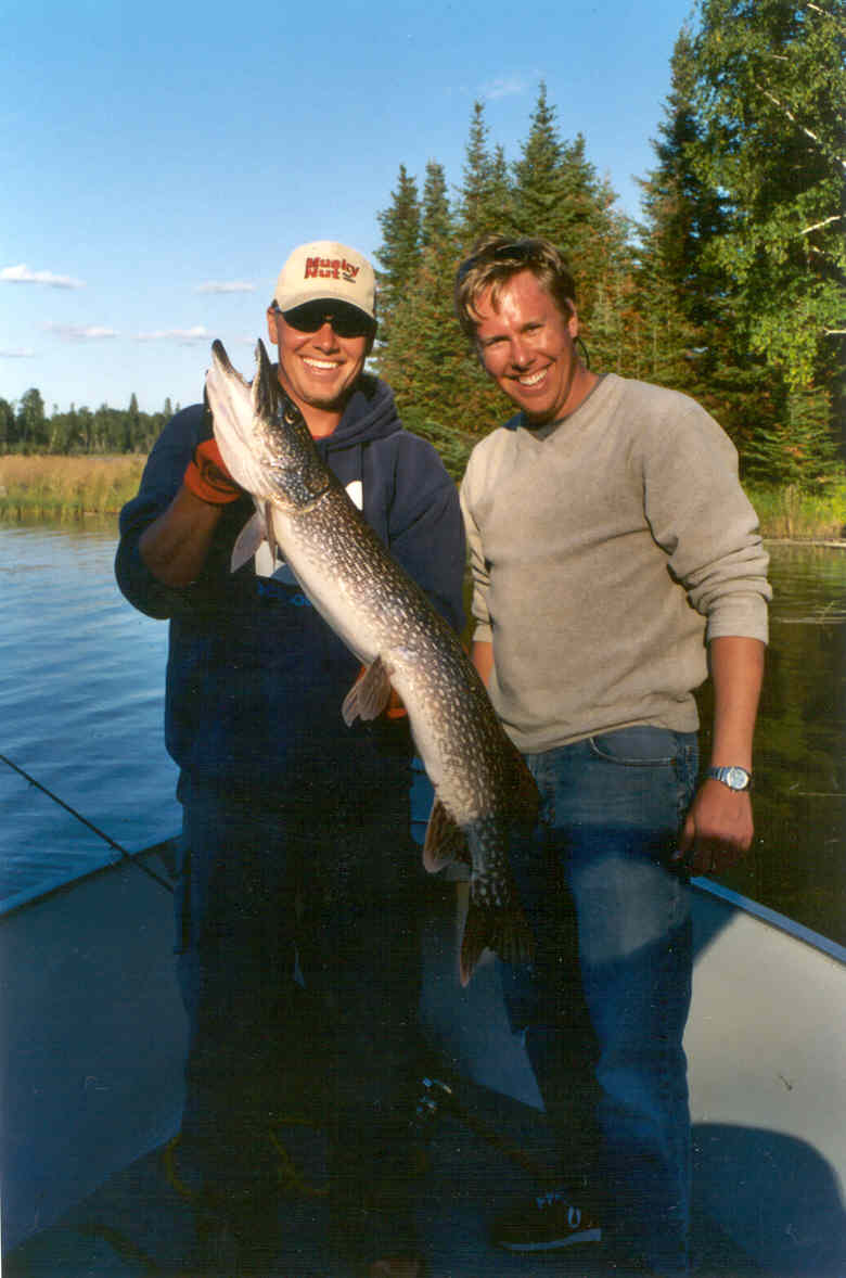 Click to expand / contract the width of this image