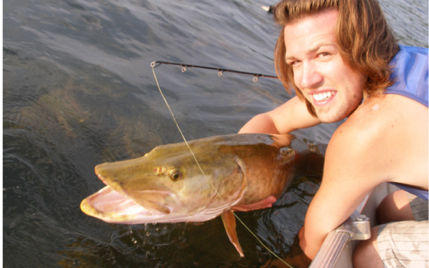 Click to expand / contract the width of this image