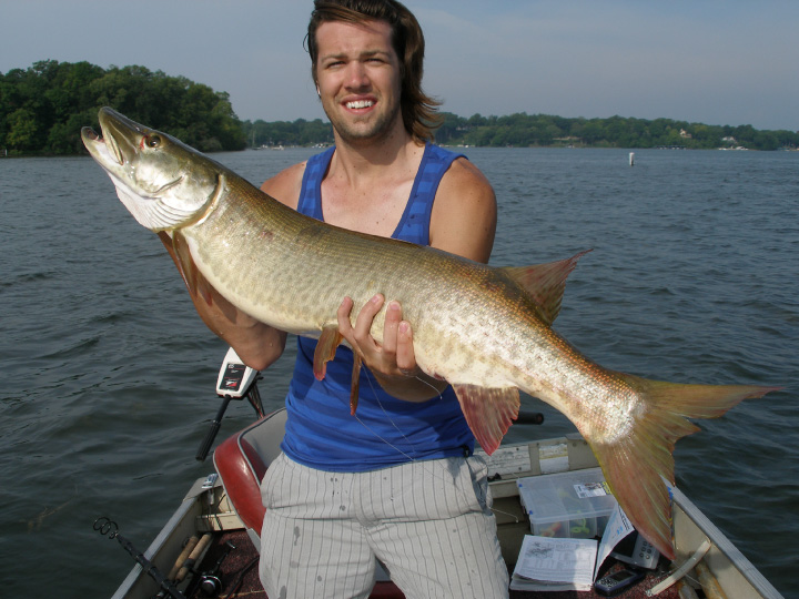 Click to expand / contract the width of this image