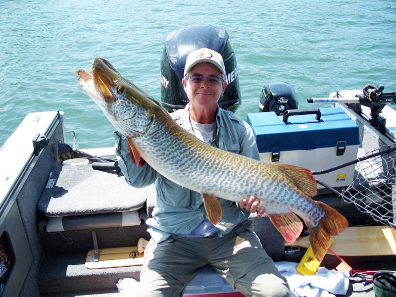 Click to expand / contract the width of this image