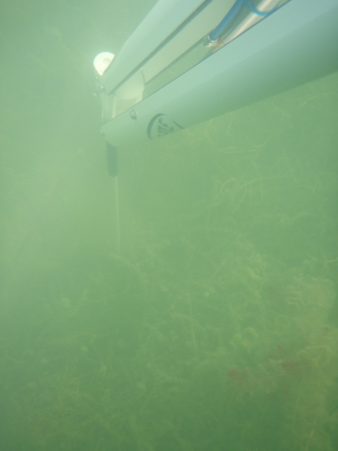 Click to expand / contract the width of this image