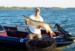 Click to expand / contract the width of this image