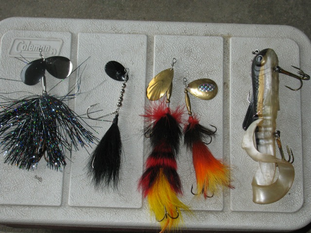 Click to expand / contract the width of this image