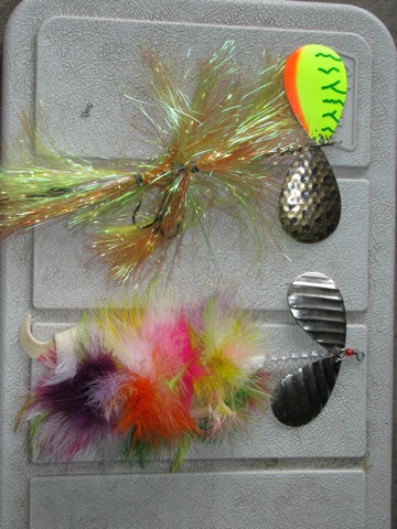 Click to expand / contract the width of this image