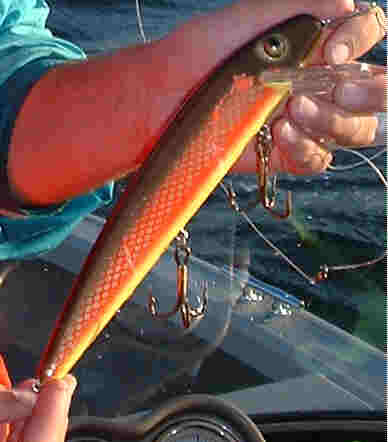 Click to expand / contract the width of this image