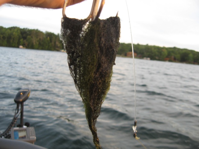 Click to expand / contract the width of this image