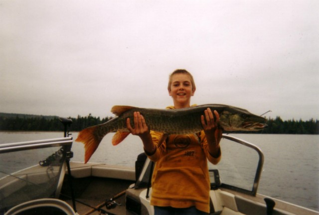 Click to expand / contract the width of this image