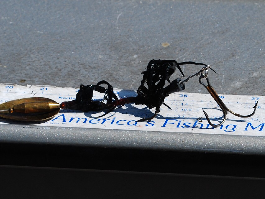 Click to expand / contract the width of this image