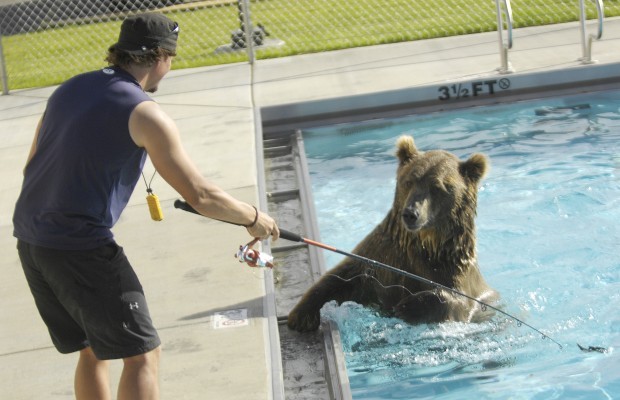 Click to expand / contract the width of this image