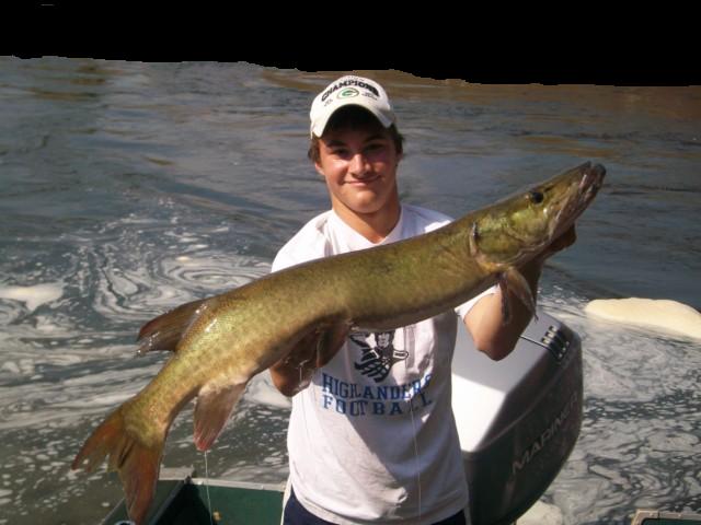 Click to expand / contract the width of this image