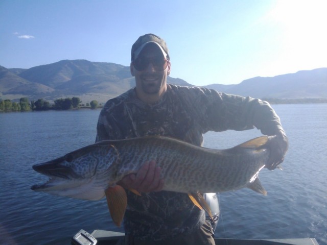 Click to expand / contract the width of this image