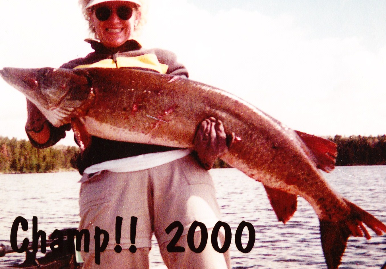 Click to expand / contract the width of this image